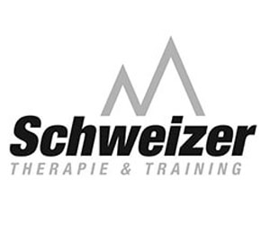 Team Schweizer